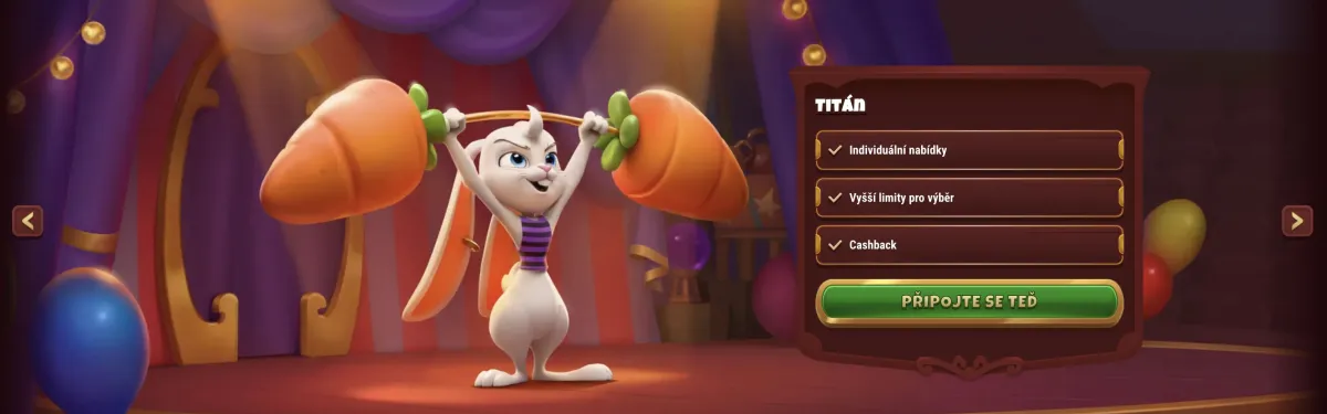 VIP Loyalty Program Magius Casino